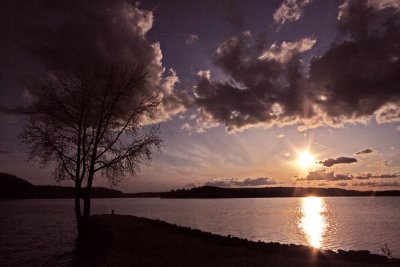 IMG_8984ss.jpg