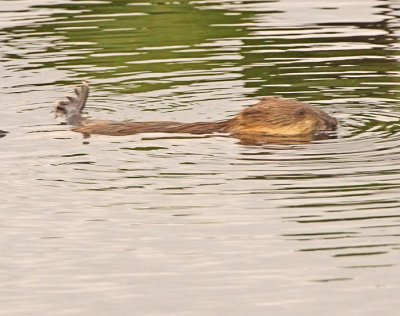 IMG_5429wnr.jpg