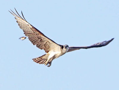 IMG_6686wnr.jpg