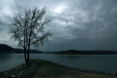 IMG_8508ss.jpg