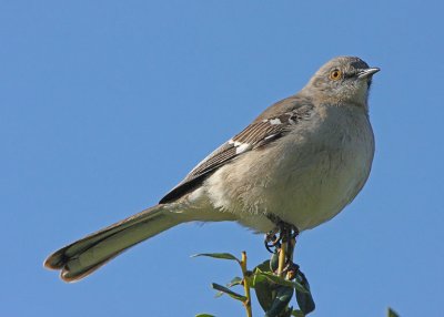 IMG_0328wnr.jpg