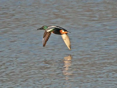IMG_0567wnr.jpg