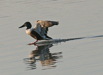 IMG_0597wnr.jpg