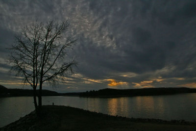 IMG_8783ss.jpg
