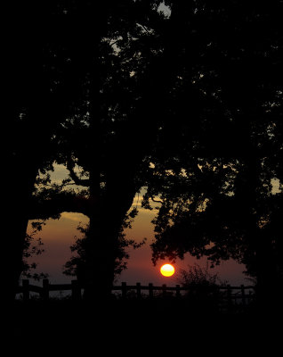 Sunset near Broadhembury fort