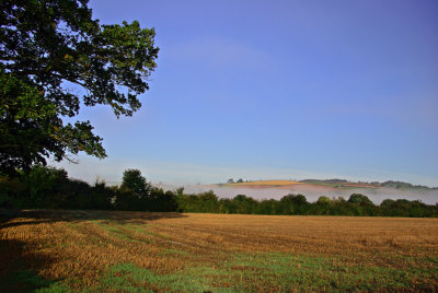 Misty field in the Exe Valley