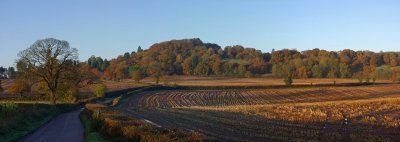 Devon fields in Autumn - Devon