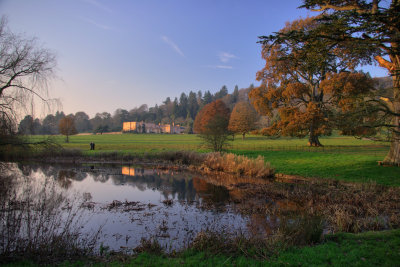 Killerton pond - Devon