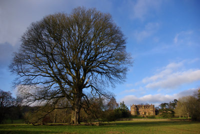 Knighthayes Court - Devon