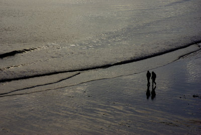 Seaside walkers