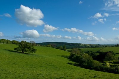 Bradninch view - Devon