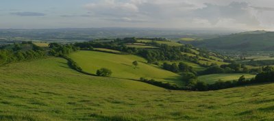 Summer pastures - Mid Devon