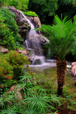 Waterfall in Leela Place hotel gardens