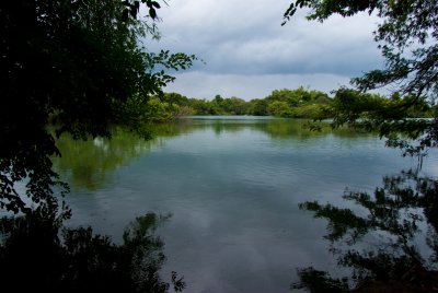 Bird sanctuary on river near Mysore