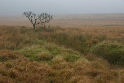 South Dartmoor