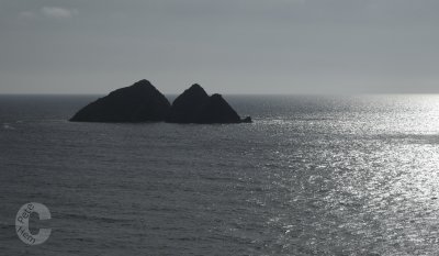 Gull Rocks - N Cornwall