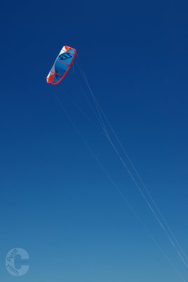 Kite