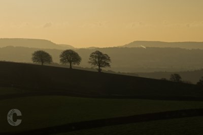 View of my favourite 3 trees and Sidmouth Gap