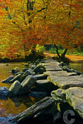 Tarr Steps on Exmoor