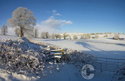 Hele Farm near Bradninch