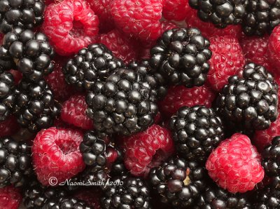 Raspberries and Blackberries AU10 #5732