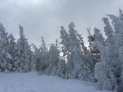P1000202{Q}.jpg