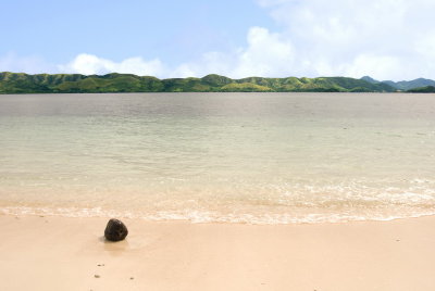Lonely Coconut at Dimakya Island