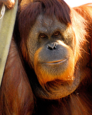 Zoo5166.jpg