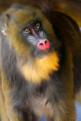 Zoo5238.jpg