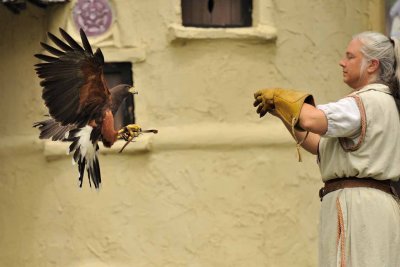 Scarb2010_2592.jpg