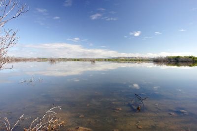 Las Salinas (Saltflats), Cabo Rojo