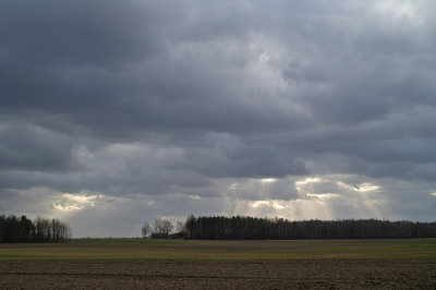 Mazovia 2