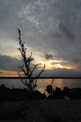 Träslövsläge 090719