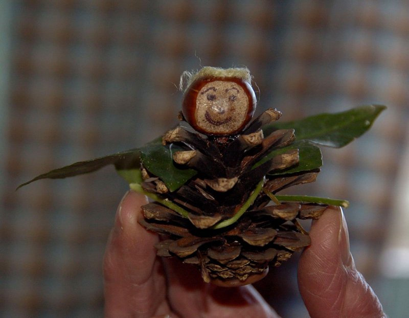 P: Pine angel
