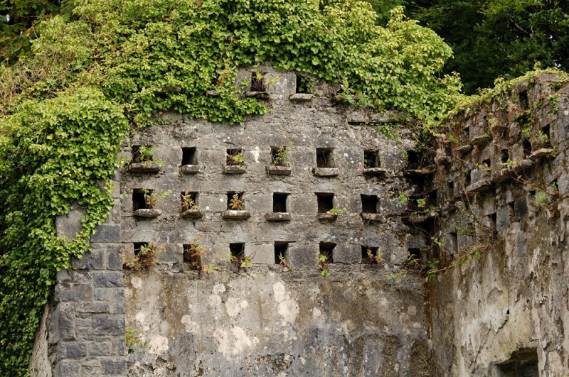  : ilar colr - A Dovecote