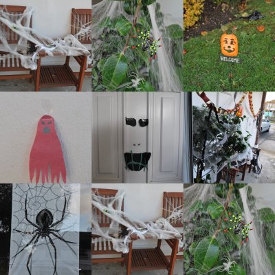 Spooks and Spiders