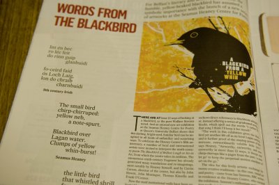 B: Blackbird - In t-n Bec 1