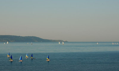 Summery sailing
