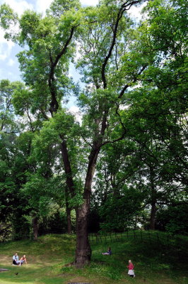 In St Stephens Green 2