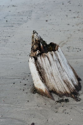 All that remains