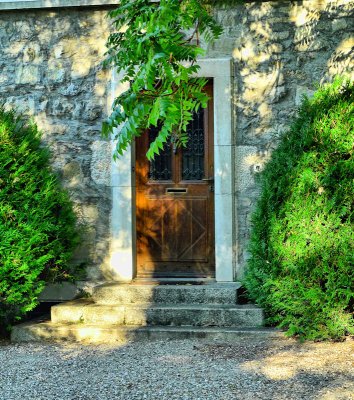 The sundappled door surrounded by green surely looks for a partner in the Emerald Isle...