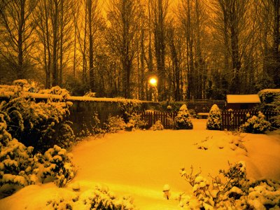 Eerie nightlight in the snowgarden