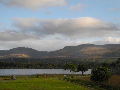 Sun-dappled hills in the distance