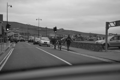 Traditional transport , Kerry