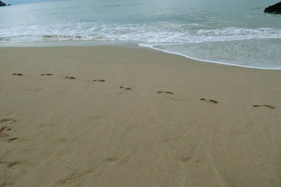 Rian na gCos : Footprints