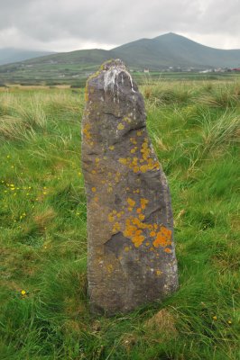 Galln cloiche : A Standing Stone with Ogham Inscriptions