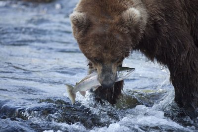 alaska_710