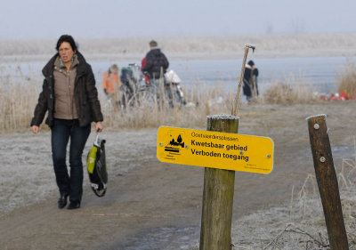 MDJ3992M-Jan van de Boschpad  8 januari 2009.jpg