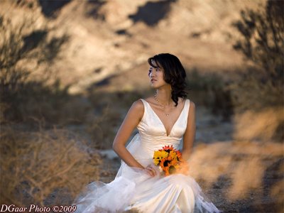 Joyce-009-A-Small.jpg