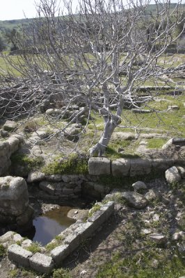 Healing spring